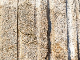 graexcon-piedra-pink-salmon