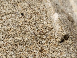 graexcon-piedra-yellow-cies
